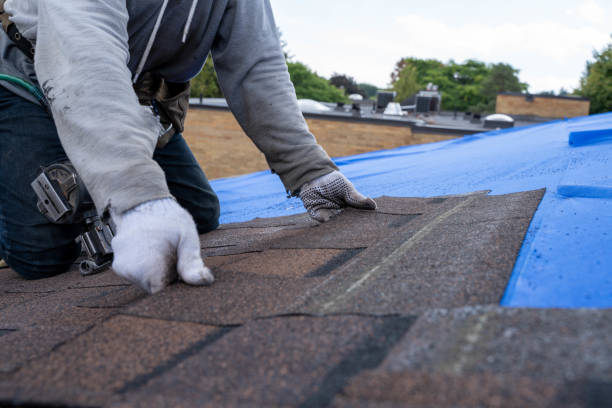 Best Tile Roofing Contractor  in Bromley, KY