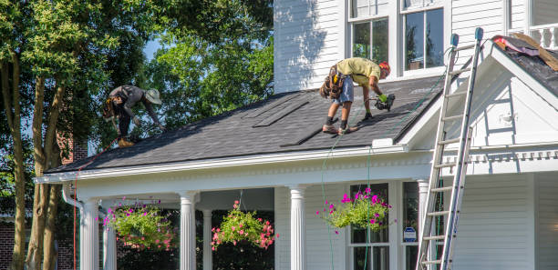 Best Roof Gutter Cleaning  in Bromley, KY