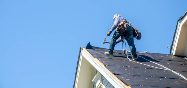 Best Roof Gutter Cleaning  in Bromley, KY